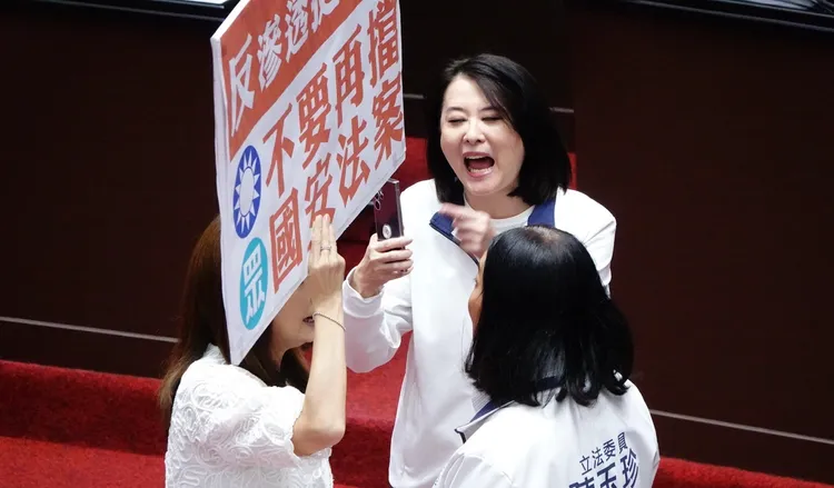 王鸿薇点6个环团反对强化光电设施的环评与设置规范，认为他们是假环保团体真政治侧翼。庄宗达摄