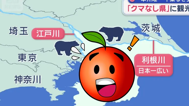 日本本州仍有一县未受熊害侵袭。翻摄自X