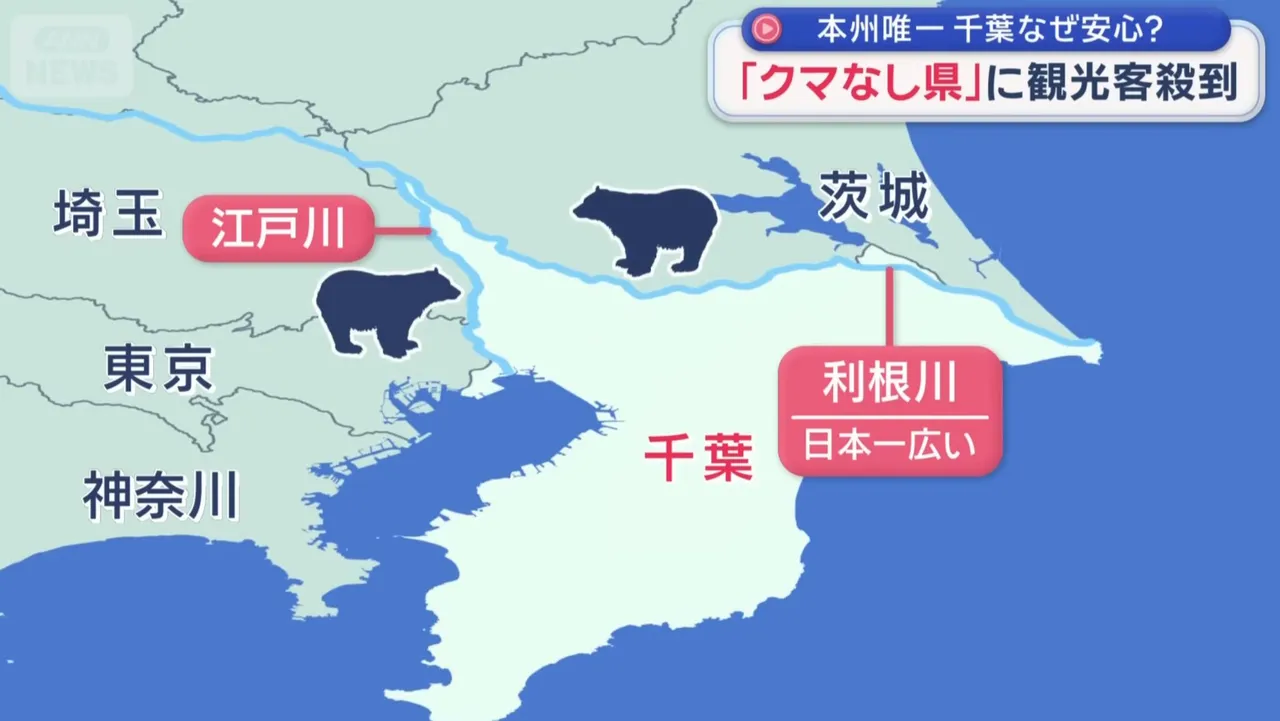 千叶县的2大河川成为阻挡熊进入的天然屏障。翻摄自X