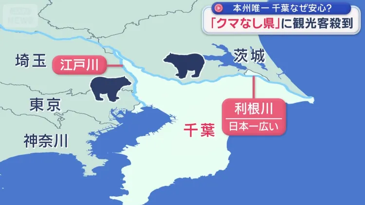 千葉縣的2大河川成為阻擋熊進入的天然屏障。翻攝自X
