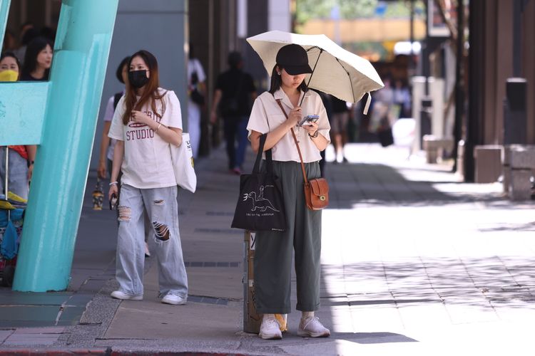 撐過今天!東北季風急凍14℃ 週末放晴超適合出遊
