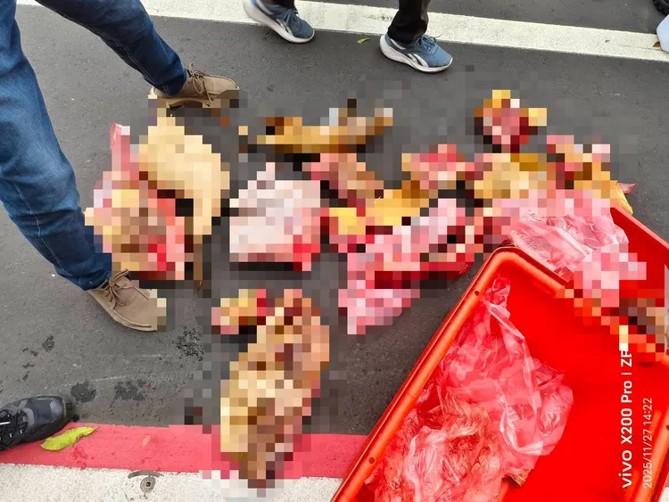 現場查獲疑似狗肉等屠體。新竹縣府提供