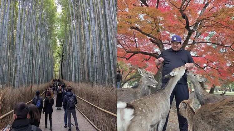 嵐山與奈良。翻攝自X