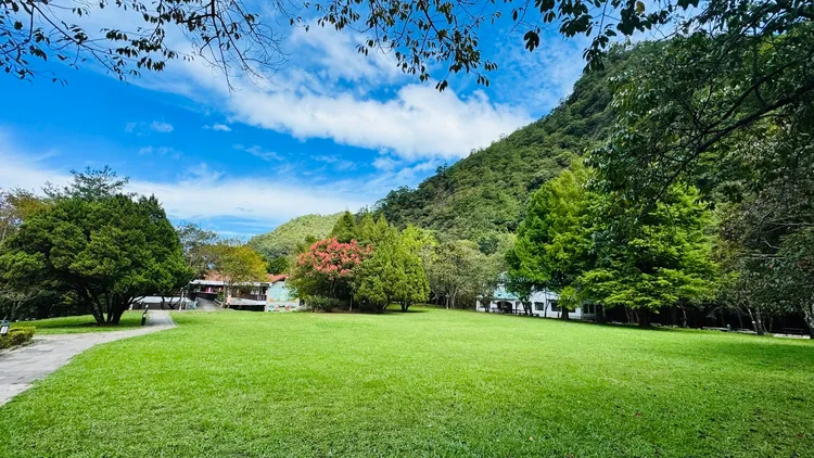 凤凰台风来袭！中部5大国家森林区11日下午休园　谷关七雄管制