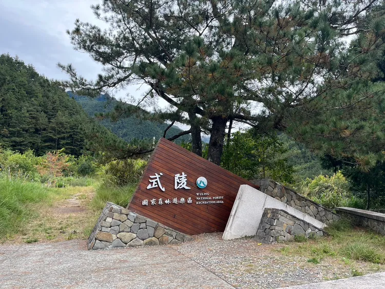 武陵國家森林遊樂區。林業保育署台中分署提供