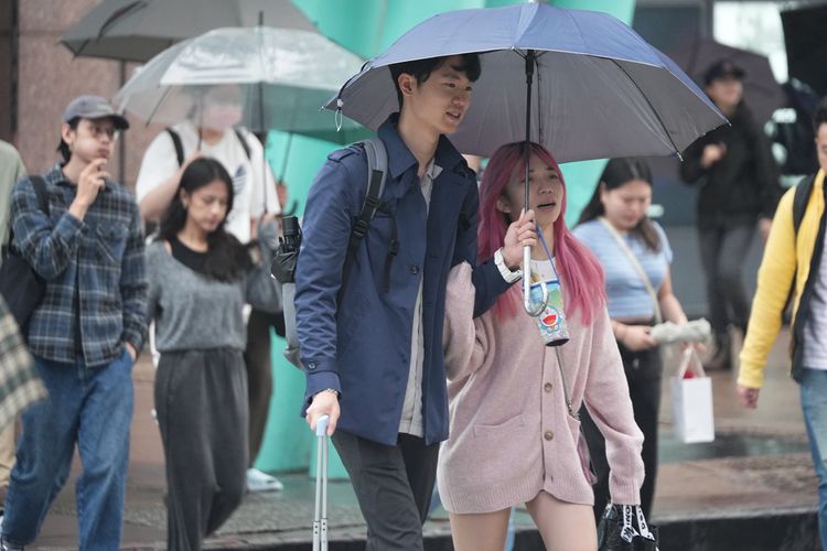 連3天探12℃！下週又2波東北季風　專家曝降溫轉雨時間