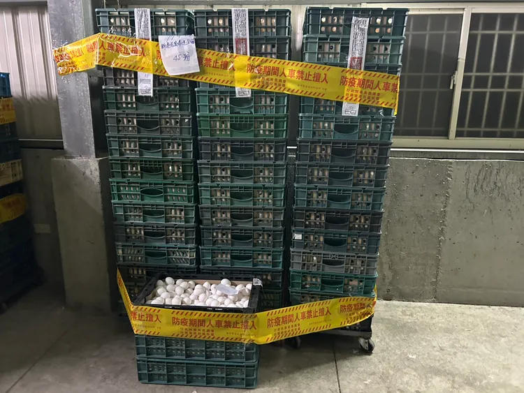 文雅畜牧场蛋品遭封存后，仍于本月9日出货4万颗给台中龙忠蛋行，全案由检调侦办厘清，县府也将检讨管制流程是否有人为疏失。资料照片