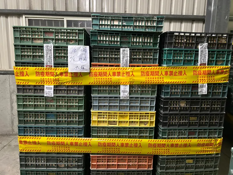 彰化縣府表示，文雅畜牧場雖解除移動管制，但也不能私自出售已封存的雞蛋。資料照片