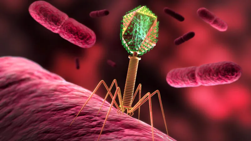 智能病毒吸附稀土元素离子。翻摄UC Berkeley