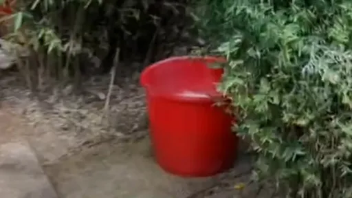 不愧是中國！公園擺3水桶供露天大小便　有公廁不用就要朝路人解放