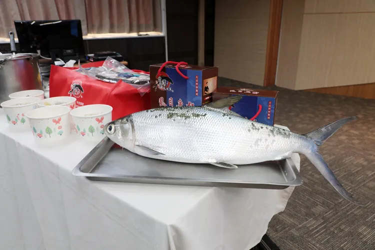 南市府農業局與5家飯店業者合作，16日起一個月時間，以虱目魚入菜推出主廚創意料理。南市府提供