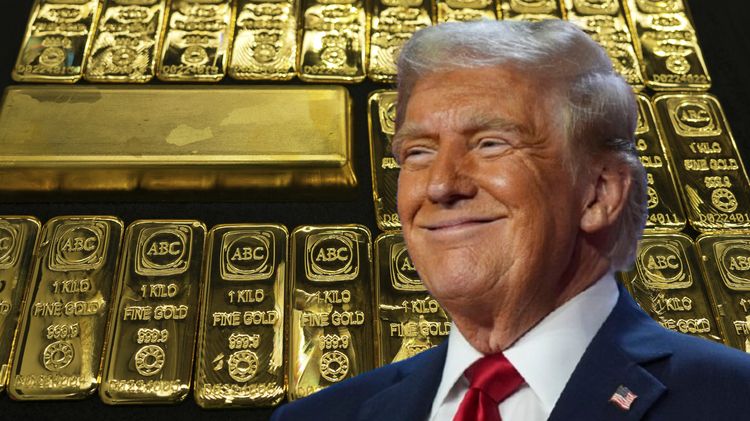 川普再擴大債券布局　8月底以來至少投資8200萬美元