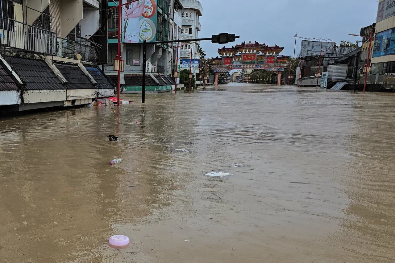 合艾市「中國城」區淹水超過半層樓高，一隻狗在泥水中游泳前進。路透社