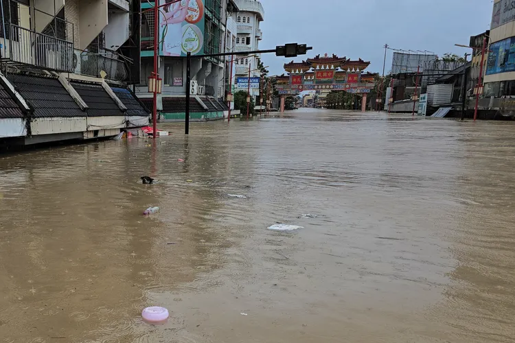 合艾市「中國城」區淹水超過半層樓高，一隻狗在泥水中游泳前進。路透社