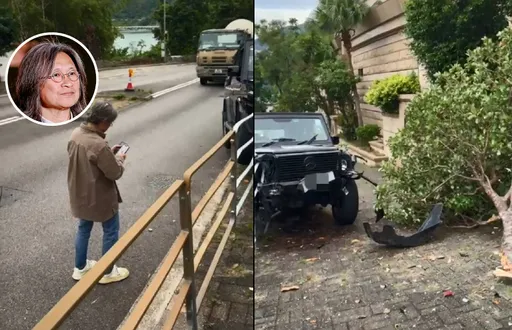 名導閃狗撞斷樹！車頭卡欄杆毀損　人毫髮無傷