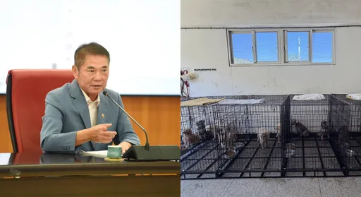 米可白為「188隻割聲帶犬」開戰！鍾東錦發出長文回應