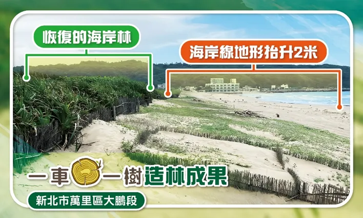 新北市萬里大鵬段海岸造林透過堆砂籬、防風圍籬及水寶盆技術，恢復林地且整體地形抬升2公尺。慈心基金會提供