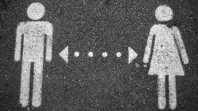 示意图。翻摄自Unsplash