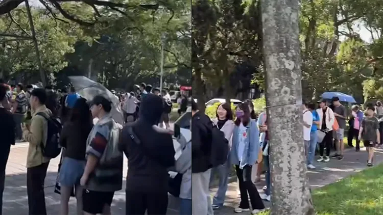 台大大氣系學生預言颱風假翻車，原訂今發放300份雞排珍奶也放鳥。翻攝自「黑特帝大」臉書粉專