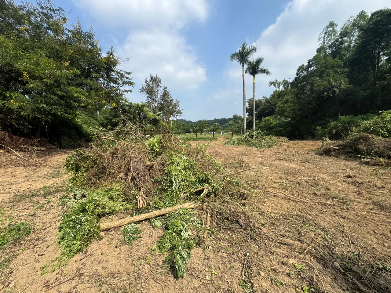 现场已经被怪手整地成黄土一片。翻摄画面