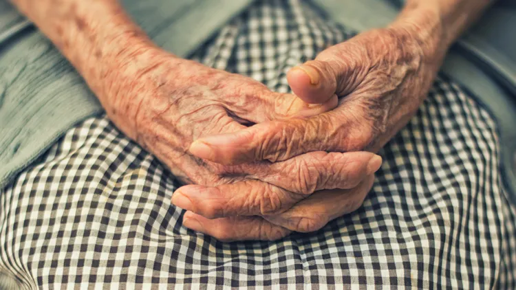 示意图。翻摄自Unsplash