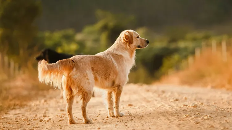 示意图。翻摄自Unsplash