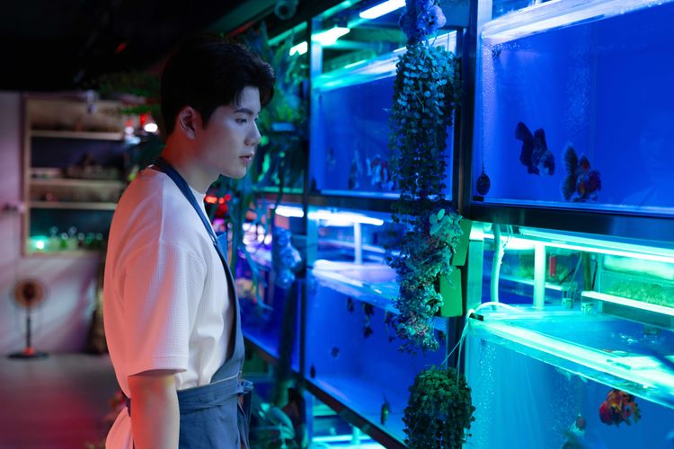 雙魚座被誤解「愛情不專一」　 男歌手沒確認關係前！人人好