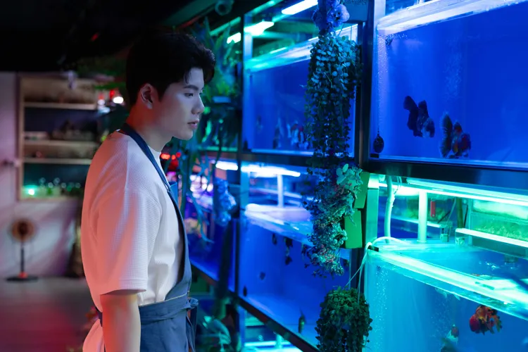 张鹤曦推出新歌《对不起我是双鱼座》。JSJ 杰思娱乐提供