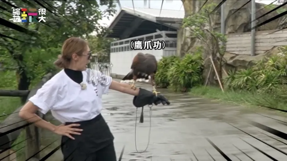 张棋惠被「鹰爪功」吓到尖叫求饶。综艺玩很大提供