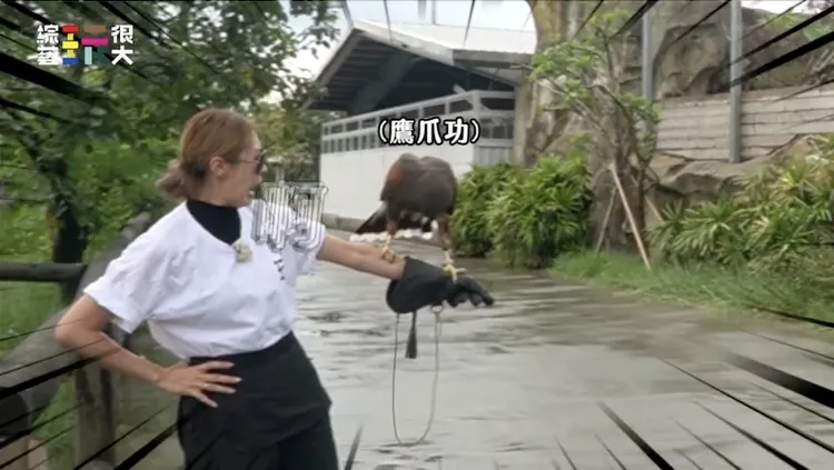 張棋惠被「鷹爪功」嚇到尖叫求饒。綜藝玩很大提供