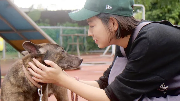 米可白为「人人犬舍」争议发声。示意图，翻摄米可白脸书