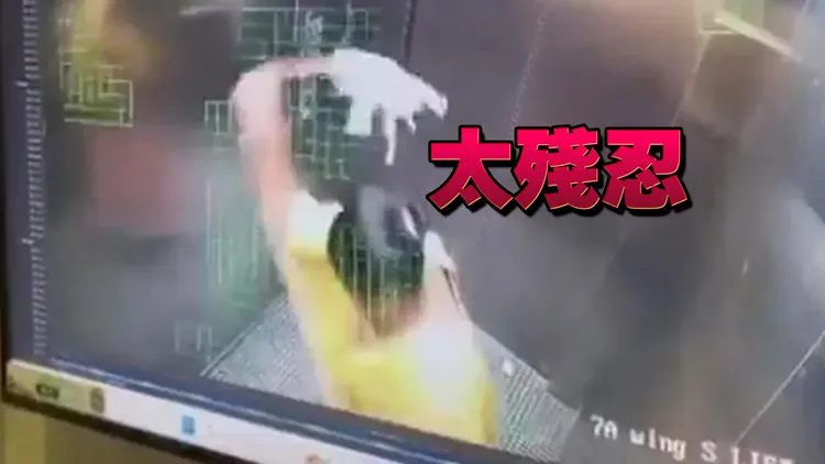 女佣普什帕拉塔在电梯内砸死雇主饲养的狗狗高飞。翻摄自X