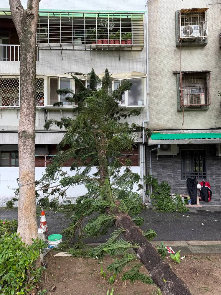 民宅窗戶被砸。翻攝畫面