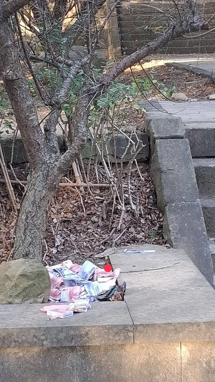 67歲翁睡公園忘了帶走價值500多萬元的鈔票及金條。民眾提供