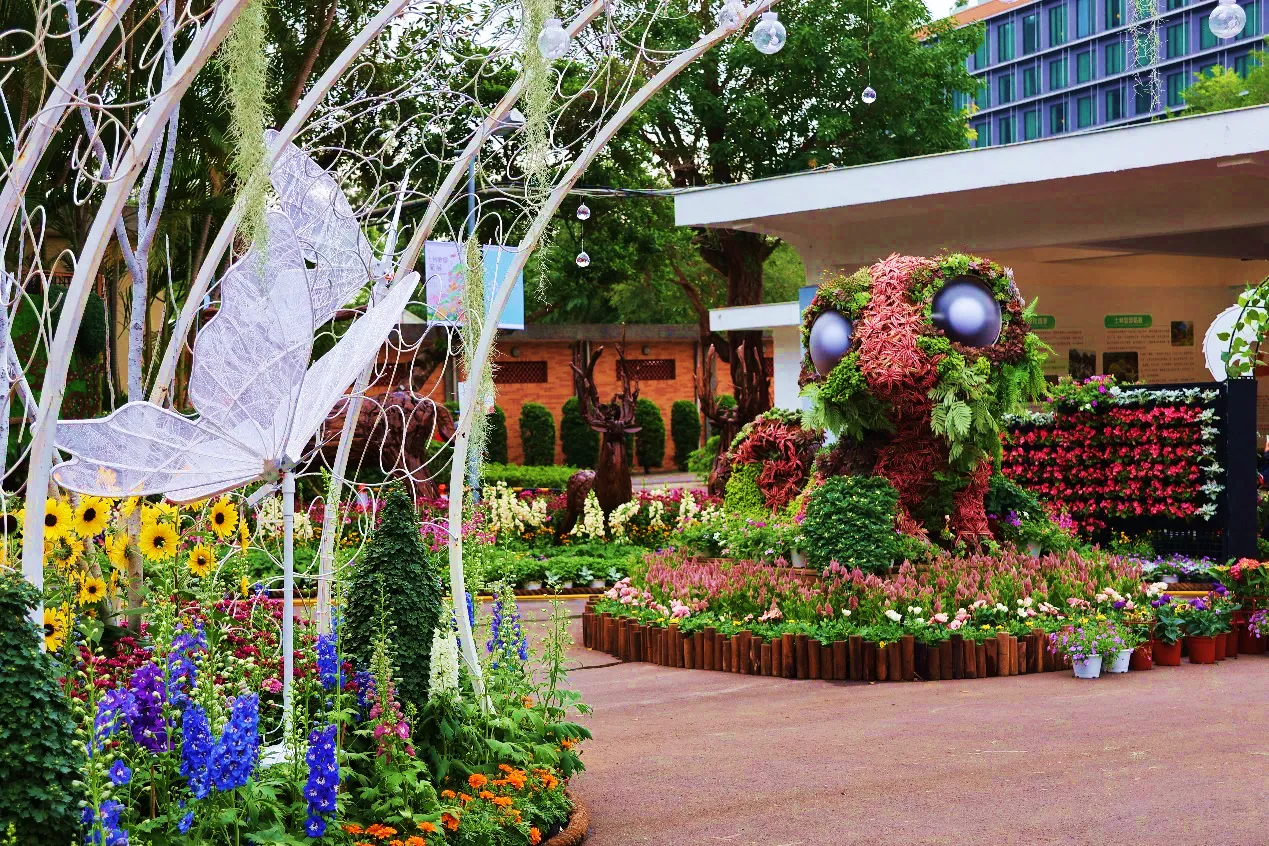 士林官邸菊展明登场！短影音挑战赛送拍立得　最佳花期曝