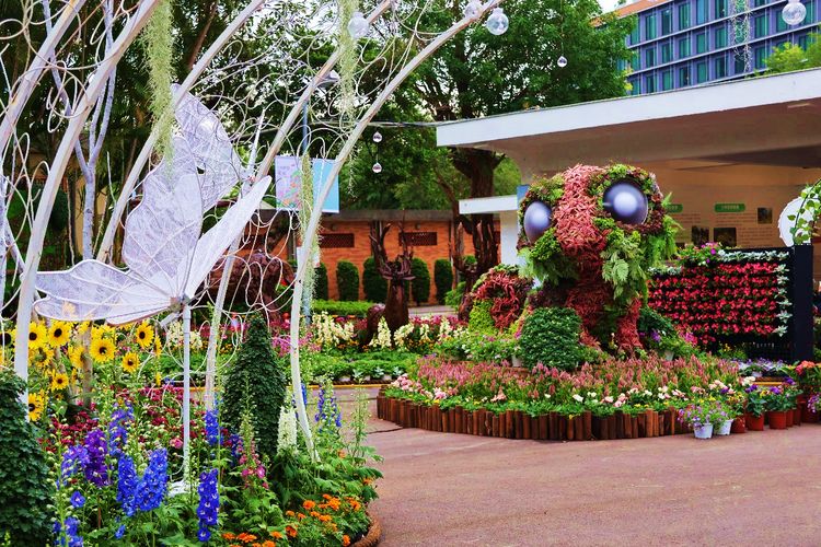 士林官邸菊展明登場!短影音挑戰賽送拍立得 最佳花期曝