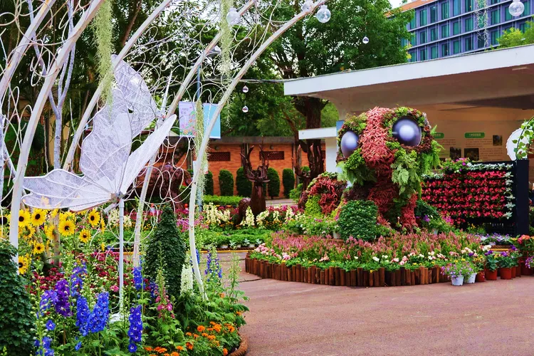 2025士林官邸菊展以「藝菊圓夢」為主題，打造15大展區，最佳賞花期落在12月上旬。台北市工務局公園處提供