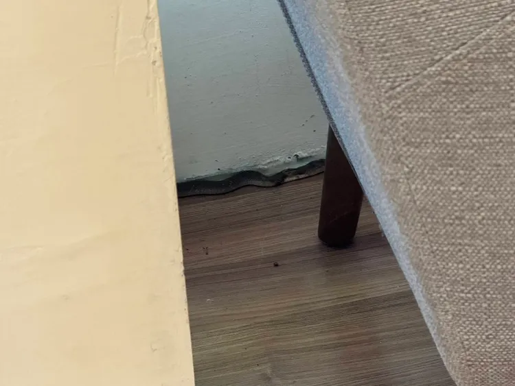 眼鏡蛇咬傷人後溜進圖書館內。民眾提供