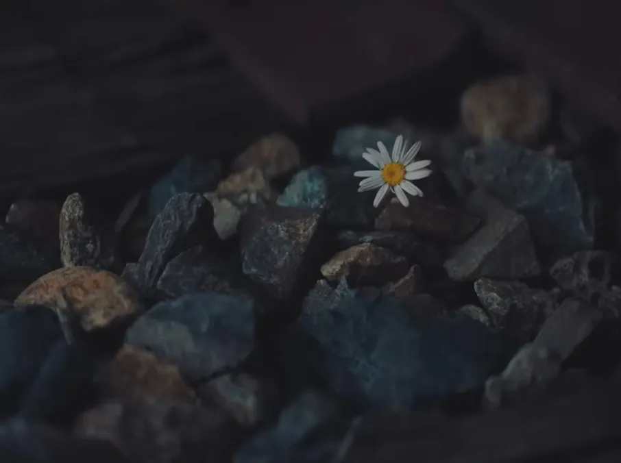 凯蒂佩芮看到雏菊奋力一跳脱险，象征女儿黛西给她力量。翻摄YouTube