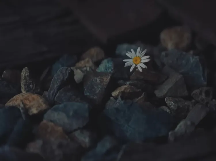 凱蒂佩芮看到雛菊奮力一跳脫險，象徵女兒黛西給她力量。翻攝YouTube