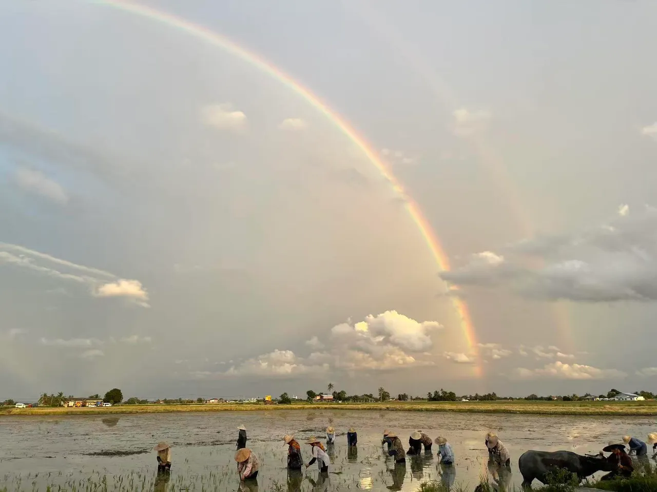 范冰冰PO出片场的彩虹，鼓励自己「风雨过后见彩虹」。翻摄范冰冰Threads