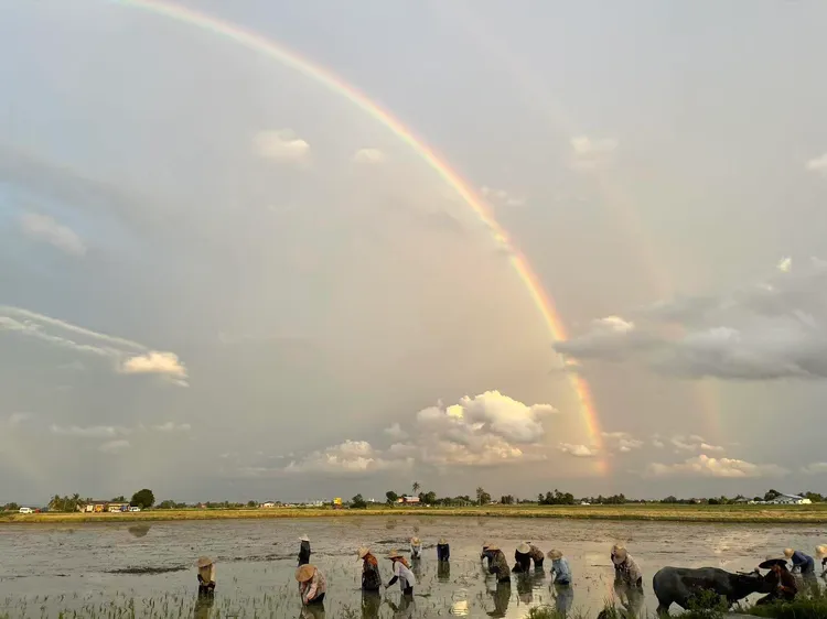 范冰冰PO出片場的彩虹，鼓勵自己「風雨過後見彩虹」。翻攝范冰冰Threads