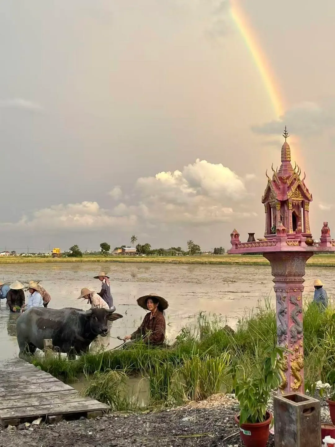 拍攝現場出現彩虹。翻攝范冰冰IG
