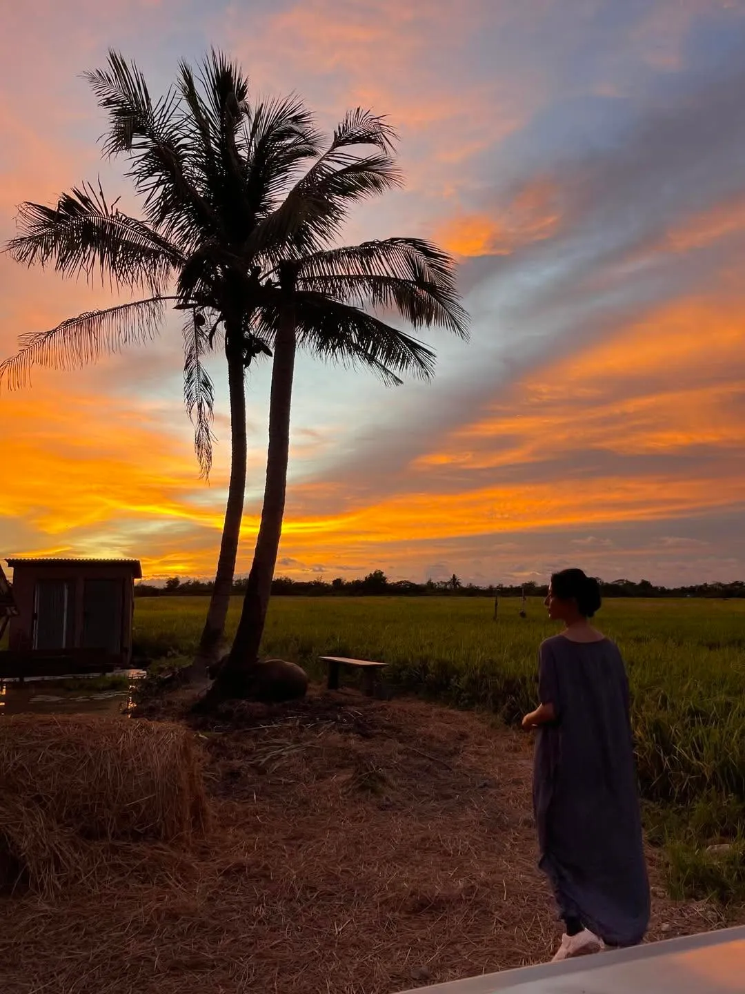 范冰冰難忘在大馬的一切。翻攝范冰冰IG