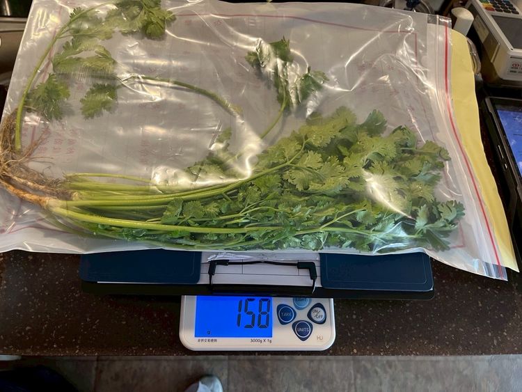 「毒香菜」高達10項違規農藥!北市知名港式飲茶淪陷 恐遭罰2億元