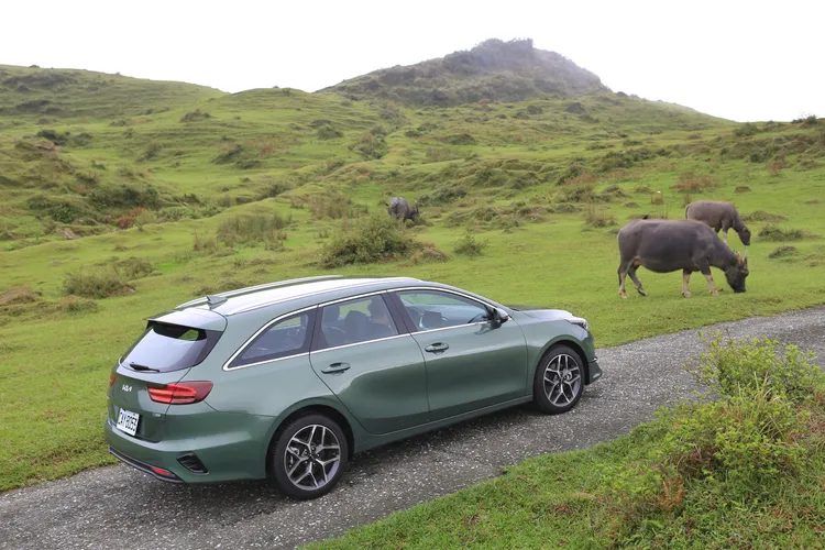 Ceed Sportswagon與一旁悠閒啃草的牛群構成獨特風景，展現輕旅行的自然氛圍。林浩昇攝