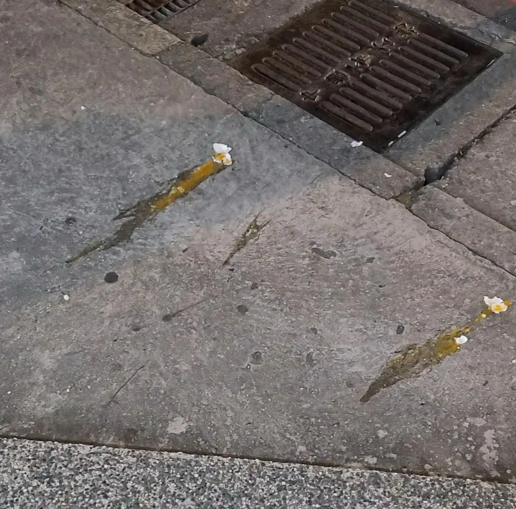 現場遺留的碎雞蛋。翻攝threads