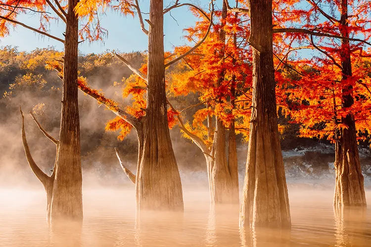 壹苹派生活美语