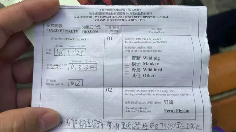 中國女遊客分享自己收到的罰單。翻攝自小紅書