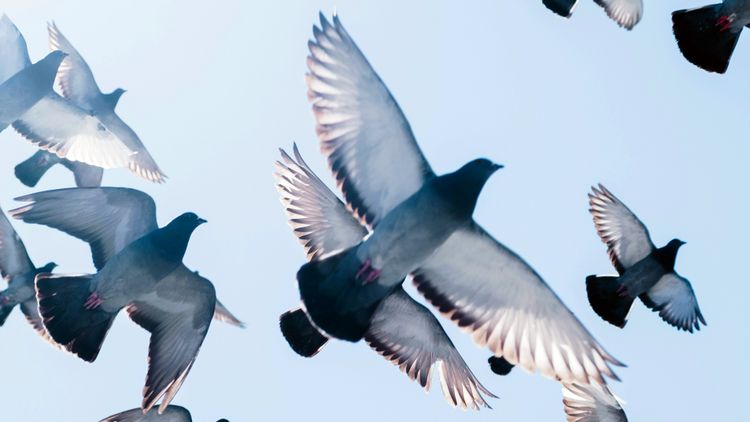 她遊香港「做這事」挨罰2萬 哀號:在中國都可以隨便做啊